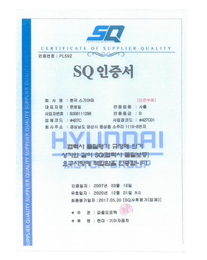 SQ 인증서 | 사출